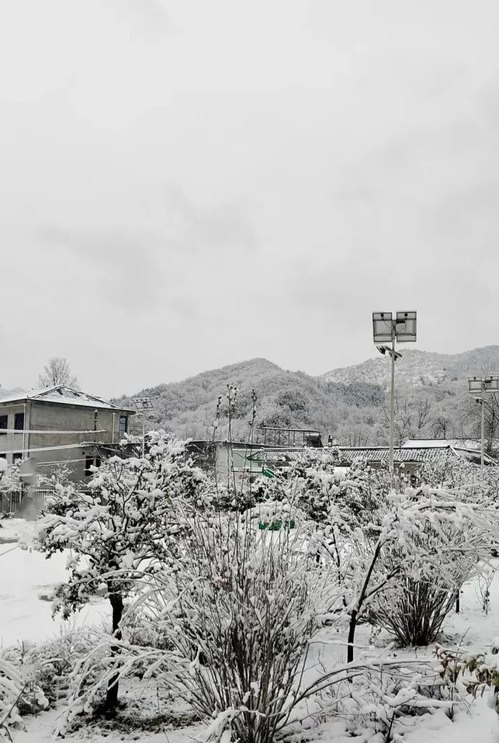 01.jpg 01.jpg