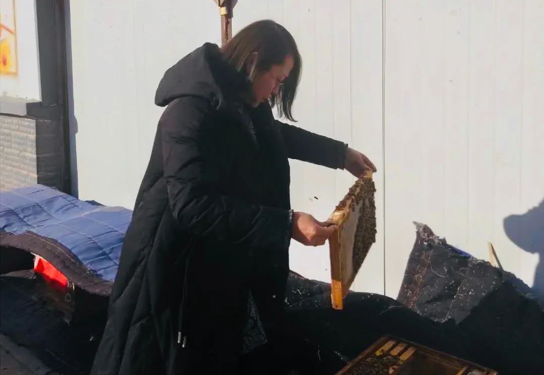 自强和助残脱贫故事：强志芳——小小蜜蜂撬开致富门(图2)