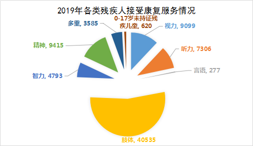 2019年全区残疾人事业统计公报(图1)