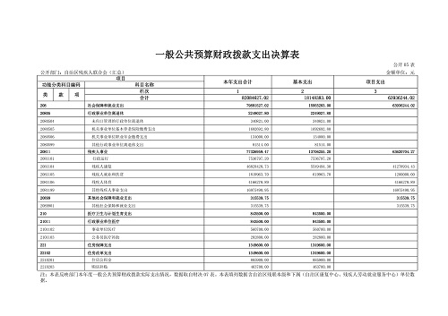 2017年度自治区残疾人联合会部门决算分开(图9)