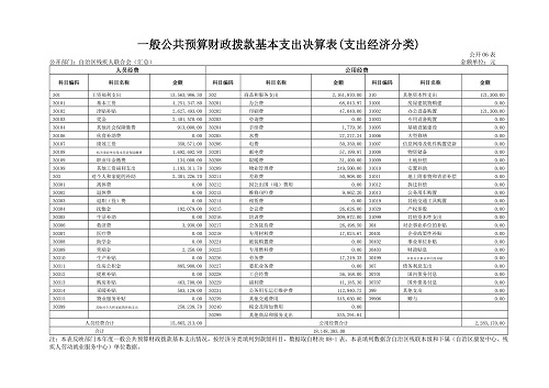 2017年度自治区残疾人联合会部门决算分开(图10)