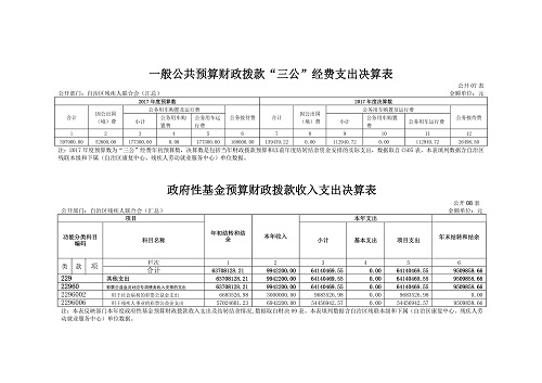 2017年度自治区残疾人联合会部门决算分开(图11)