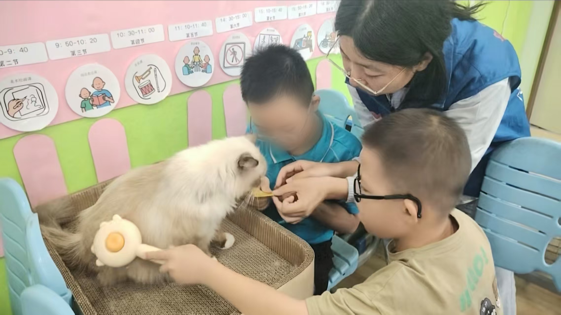 图片为现场图片 图片为现场图片
